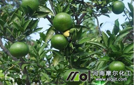 植物精油介紹 植物精油介紹