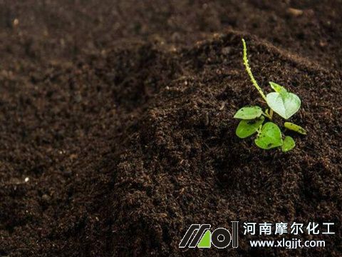 魚蛋白葉面肥改良土壤 魚蛋白葉面肥改良土壤