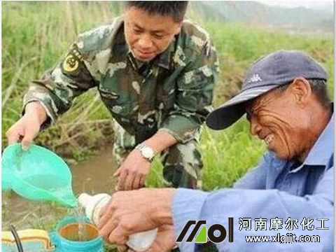 魚蛋白葉面肥混搭 魚蛋白葉面肥混搭