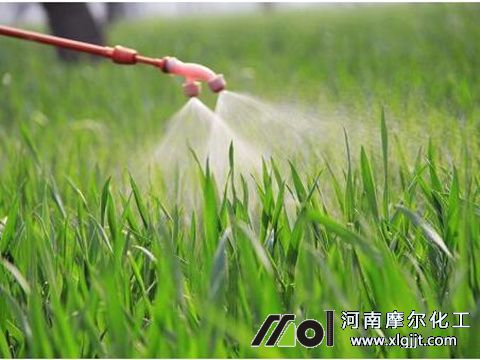 魚蛋白葉面肥用法 魚蛋白葉面肥用法