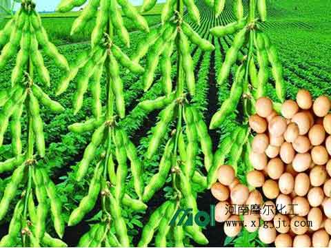 大豆葉面肥 大豆葉面肥