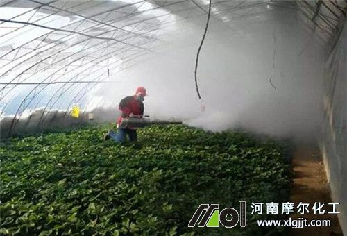 葉面肥使用方法 葉面肥使用方法