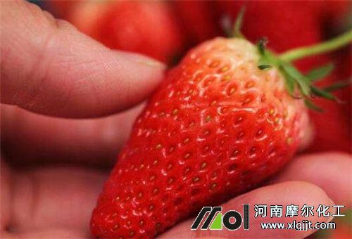 草莓葉面肥噴施注意 草莓葉面肥噴施注意