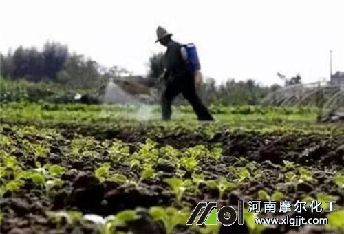 多元素葉面肥噴施 多元素葉面肥噴施