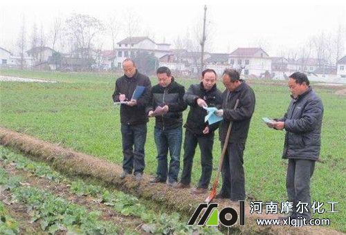 葉面肥廠家服務(wù) 葉面肥廠家服務(wù)