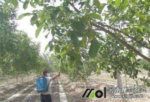 葉面肥施肥注意 葉面肥施肥注意