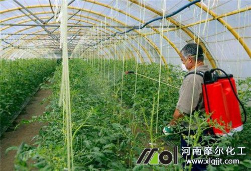 大棚作物噴施葉面肥時(shí)間 大棚作物噴施葉面肥時(shí)間