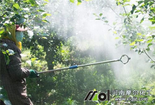 果樹(shù)葉面肥噴施注意 果樹(shù)葉面肥噴施注意