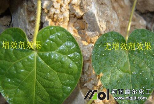 增效劑特性 增效劑特性