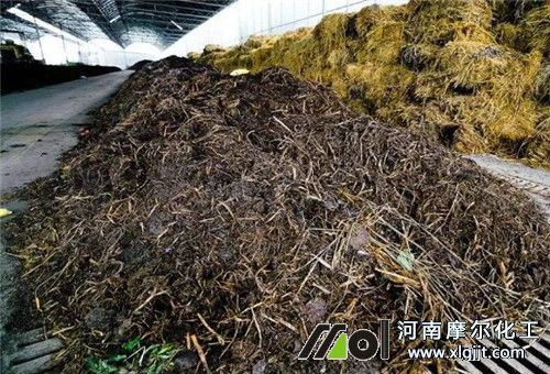 預(yù)防番茄不空果施好肥 預(yù)防番茄不空果施好肥