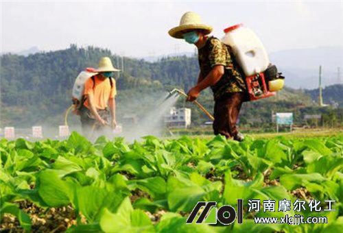 大田作物噴施葉面肥 大田作物噴施葉面肥