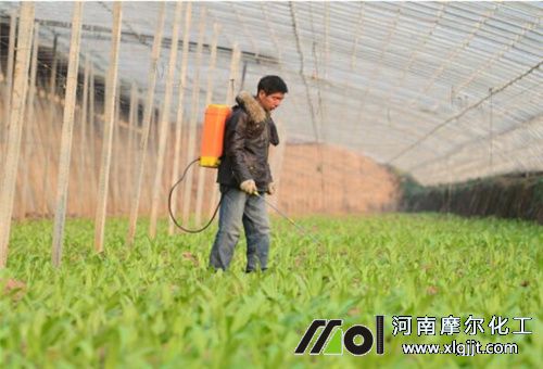 大棚作物噴施葉面肥 大棚作物噴施葉面肥