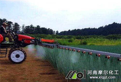 葉面肥噴施注意 葉面肥噴施注意