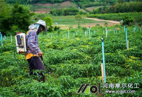 蔬菜葉面肥噴施誤區(qū) 蔬菜葉面肥噴施誤區(qū)