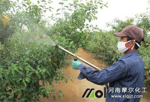 葉面肥的選擇 葉面肥的選擇