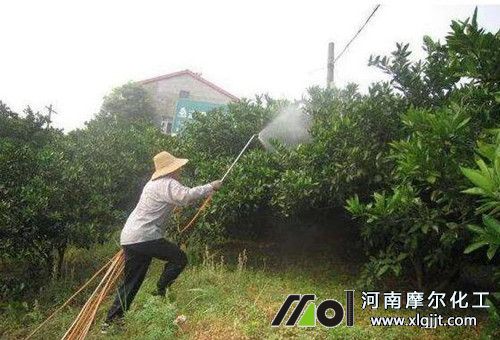 柑橘葉面噴施 柑橘葉面噴施