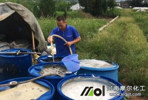 葉面肥添加助劑方法 葉面肥添加助劑方法