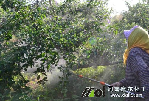 土地干旱能否噴葉面肥 土地干旱能否噴葉面肥