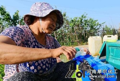 土地干旱能否噴葉面肥 土地干旱能否噴葉面肥