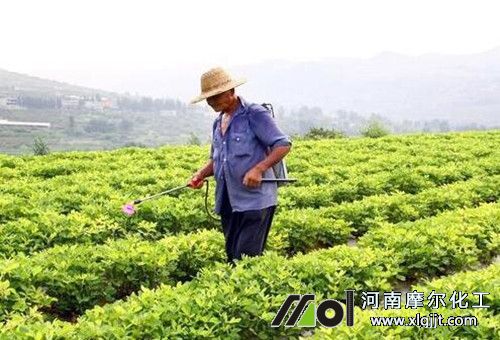 葉面肥夏季使用注意 葉面肥夏季使用注意