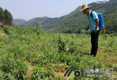 葉面肥使用注意 葉面肥使用注意