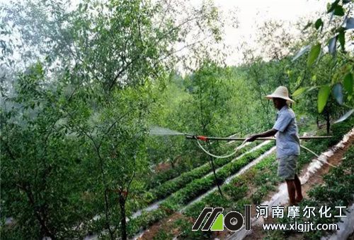 葉面肥吸收溫度 葉面肥吸收溫度