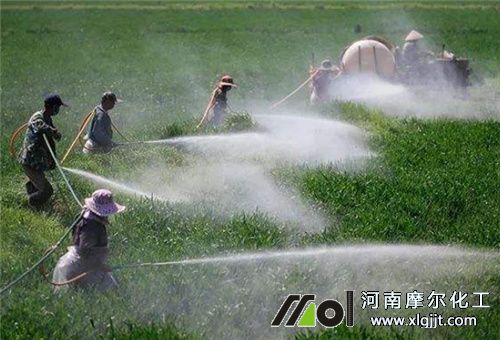 葉面肥吸收溫度 葉面肥吸收溫度