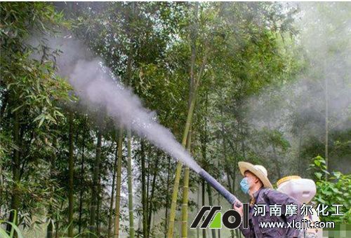 正確使用葉面肥噴施部位 正確使用葉面肥噴施部位