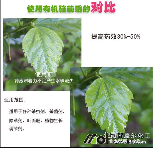 葉面肥滲透劑效果 葉面肥滲透劑效果