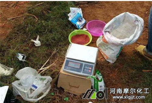 植物精油適用作物 植物精油適用作物