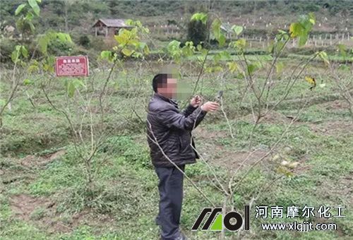 葉面肥混搭 葉面肥混搭