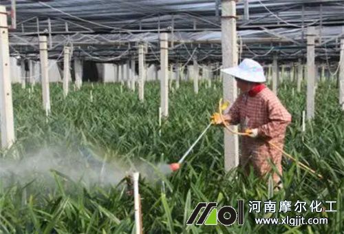 葉面噴施濃度 葉面噴施濃度