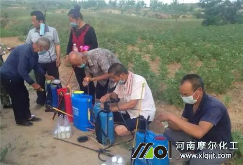 葉面噴施濃度 葉面噴施濃度