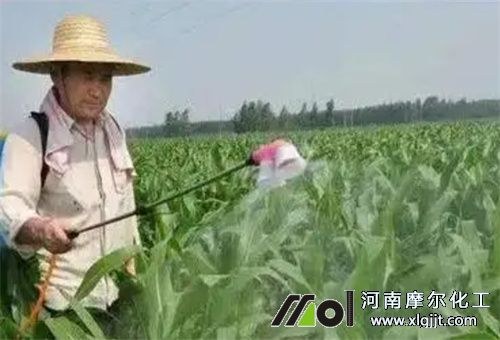 什么肥料能噴葉面 什么肥料能噴葉面