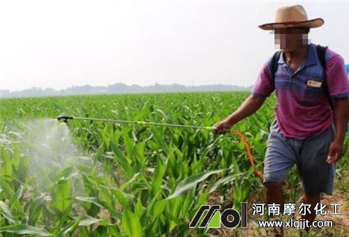 噴施是噴葉面還是土壤 噴施是噴葉面還是土壤