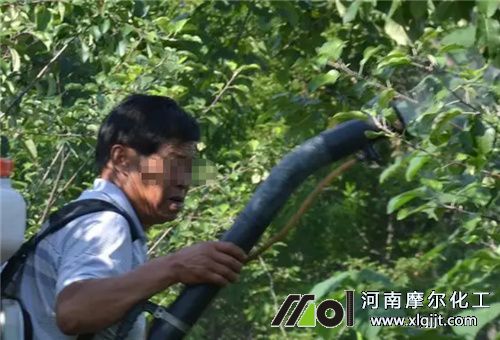 葉面肥見效期 葉面肥見效期