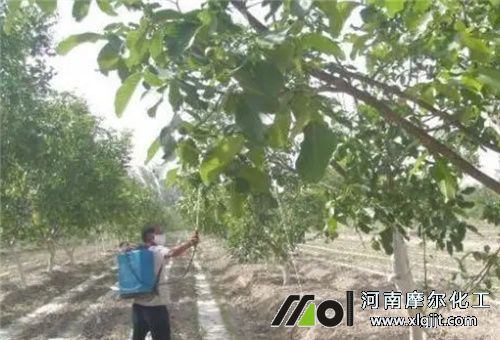 葉面肥使用注意 葉面肥使用注意