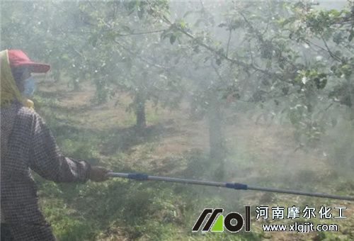 葉面肥使用注意 葉面肥使用注意