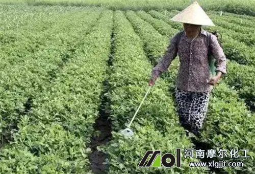 肥料噴施要領(lǐng) 肥料噴施要領(lǐng)