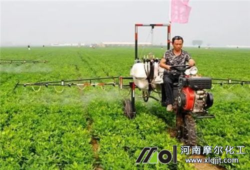 葉面肥使用指南 葉面肥使用指南