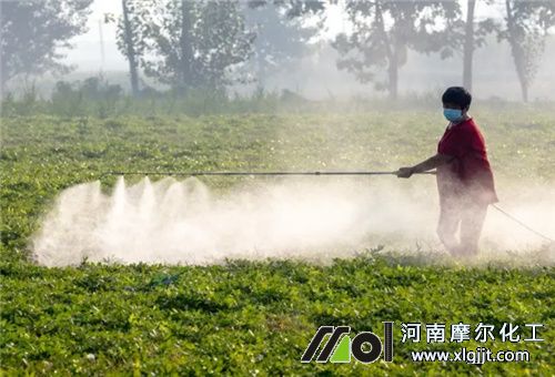 干旱花生噴施葉面肥效果 干旱花生噴施葉面肥效果