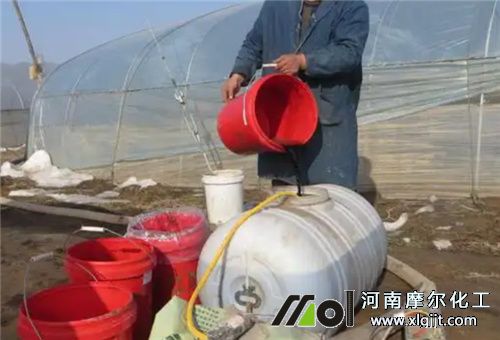 葉面噴肥事項 葉面噴肥事項