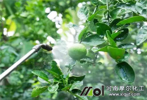 葉面肥間隔噴施時間 葉面肥間隔噴施時間