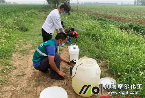 葉面肥噴施溫度 葉面肥噴施溫度