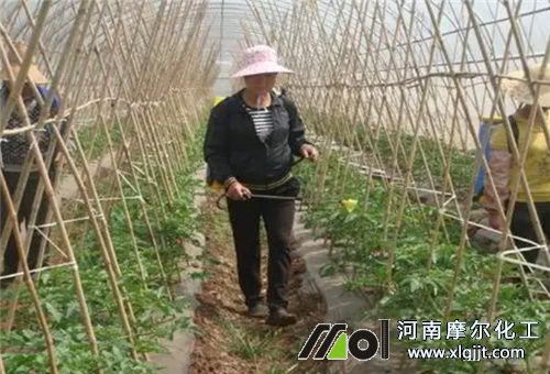 有機(jī)鉀葉面肥好處 有機(jī)鉀葉面肥好處