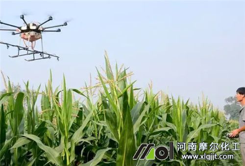 葉面噴施鋅肥作用 葉面噴施鋅肥作用