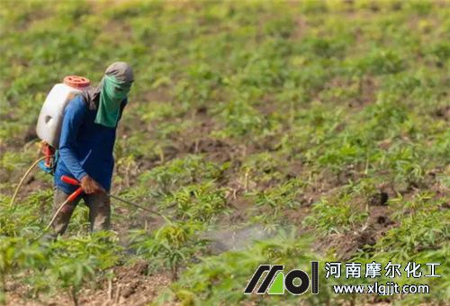 葉面肥混搭問題 葉面肥混搭問題