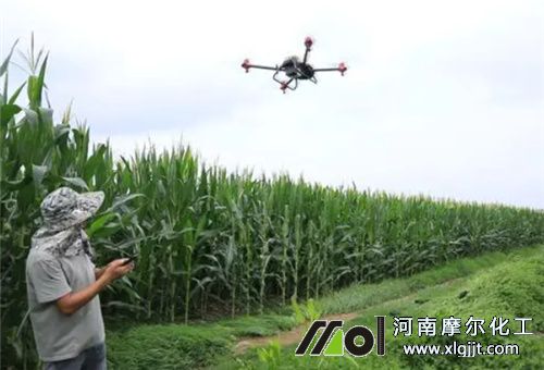 葉面噴后有雨問題 葉面噴后有雨問題