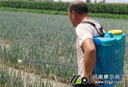 葉面施肥要素 葉面施肥要素