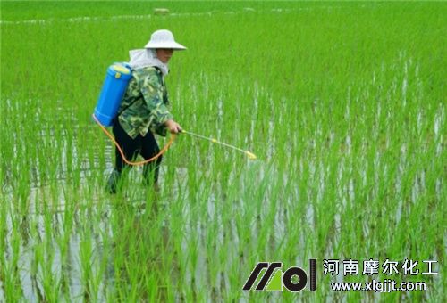 水稻追肥注意 水稻追肥注意